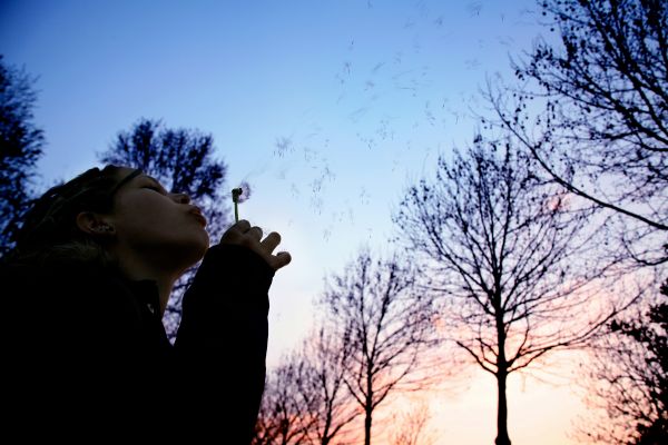 tree,branch,person,winter,cloud,silhouette