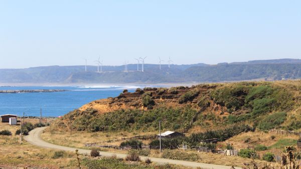 paesaggio, mare, costa, natura, spiaggia, foresta