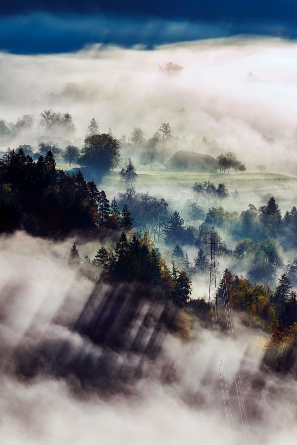 krajina, more, príroda, les, horizont, vrch