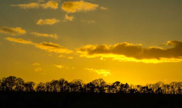 Horizont, Wolke, Himmel, Sonne, Sonnenaufgang, Sonnenuntergang