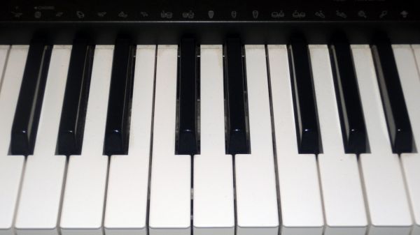 Preto e branco, teclado, tecnologia, piano, instrumento musical, eletrônicos