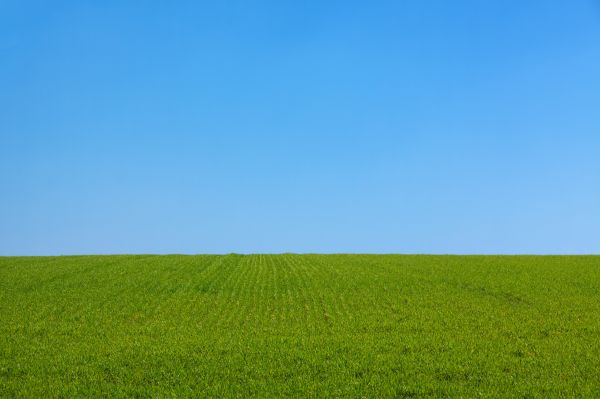 landskab,natur,græs,horisont,plante,udendørs