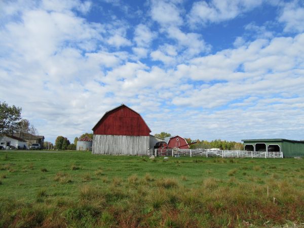 grass,structure,field,farm,meadow,prairie