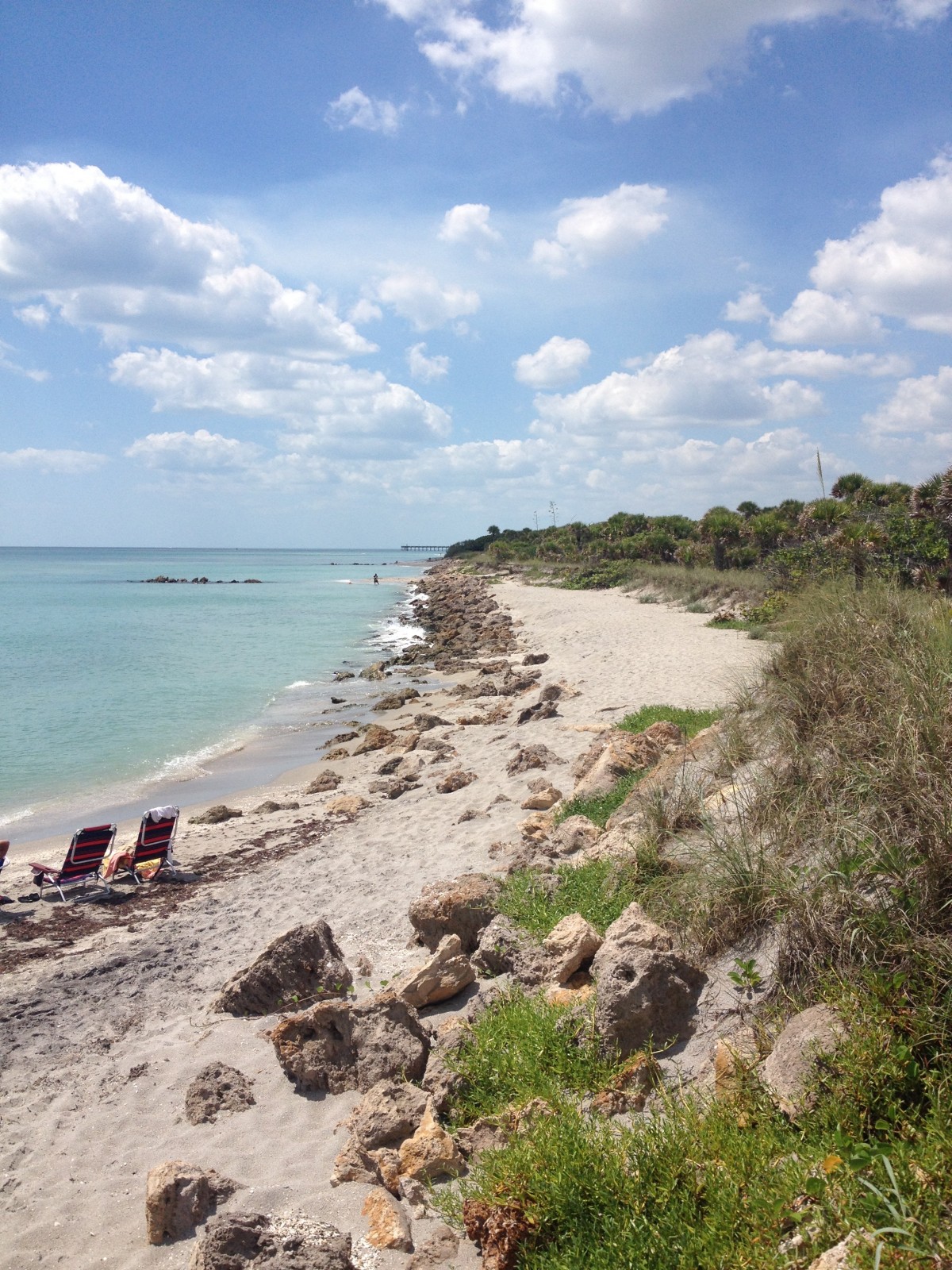 ビーチ, 風景, 海, 海岸, 砂, 岩, 海洋, 地平線, 海岸, 夏, 休暇, 旅行, 崖, 入り江, 湾, 地形, 水域, 青空, 晴れた, フロリダ, ケープ, ビーチチェア, ヴェネツィアフロリダ