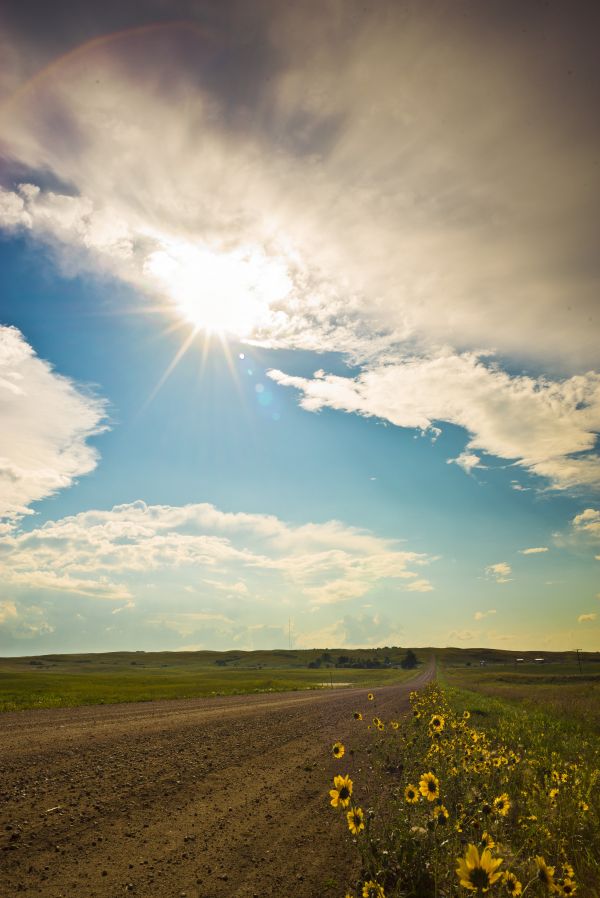 tájkép, természet, fű, szabadtéri, horizont, hegy