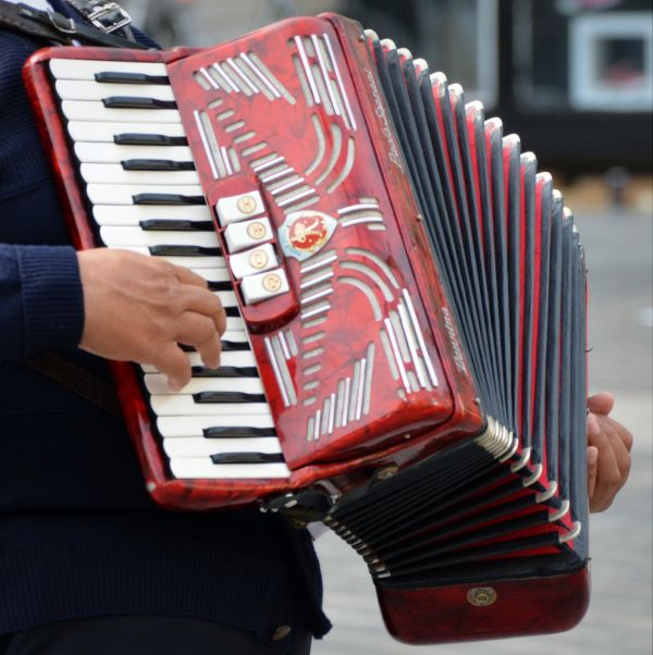 muzyka,grać,instrument,instrument muzyczny,klawiatura,harmonijka