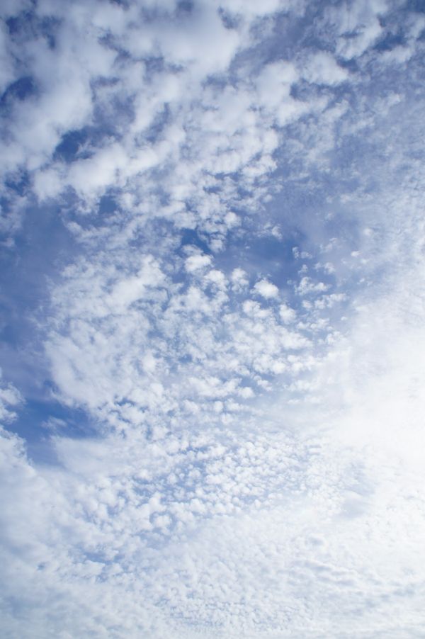 horison, awan, langit, sinar matahari, suasana, siang hari