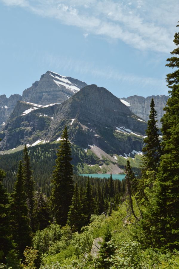 landforms górskich, Góra, Larix lyalliiSubalpine Larch, pustynia, balsam fir, Natura