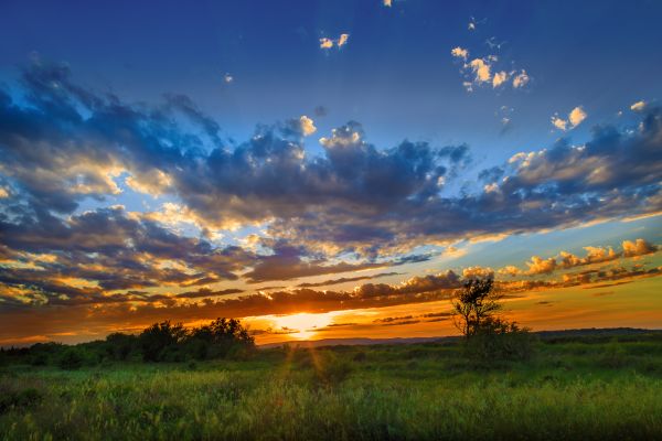 panorama,natureza,grama,horizonte,nuvem,céu