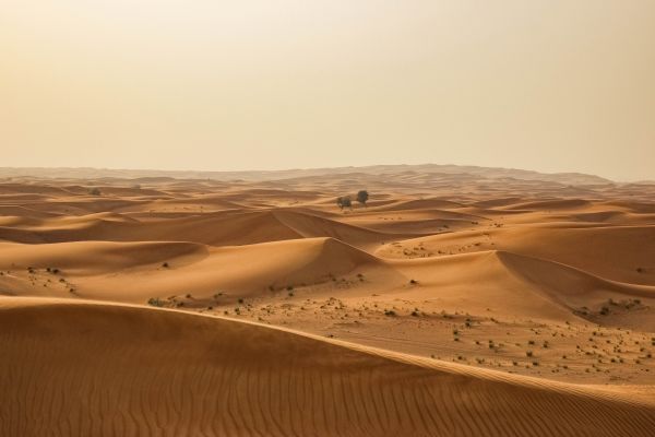 landschap,zand,woestijn,duin,warm,leefgebied