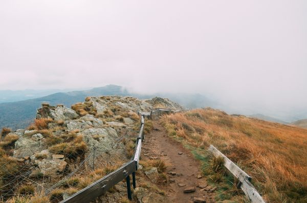 경치,연안,통로,보행,산,안개