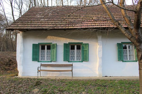 építészet, faipari, villa, ház, ablak, tető