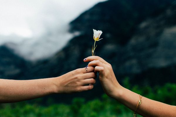 mano,naturaleza,persona,cielo,hoja,luz de sol