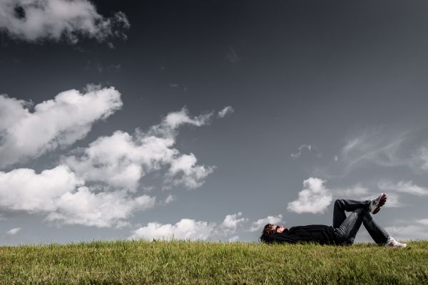 homme,paysage,la nature,herbe,arbre,horizon