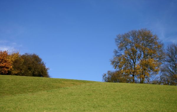 Landschaft, Baum, Natur, Gras, Horizont, Wolke