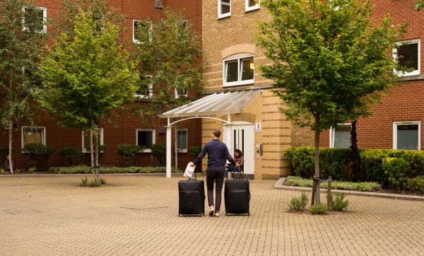 straat, gebouw, gazon, huis, huis-, voorstad