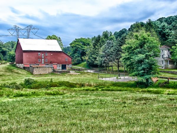 Landschaft, Baum, Natur, Wald, Gras, Feld