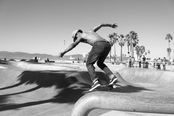 palmboom, skateboard, zwart en wit, wit, fotografie, vleet