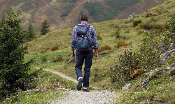 landschap,natuur,pad,wildernis,wandelen,berg-