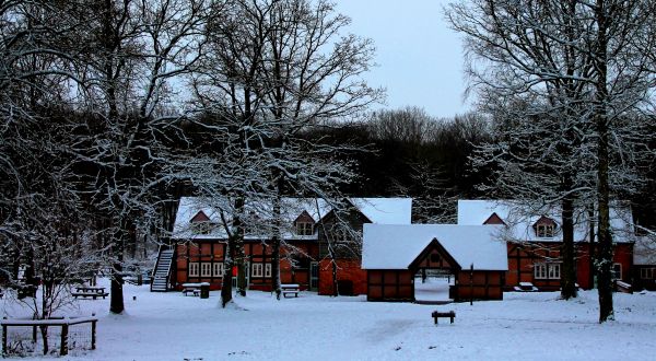 väder, träd, snö, vinter-, land, parkera