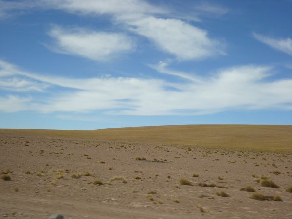 landschap, zand, horizon, hemel, veld-, prairie