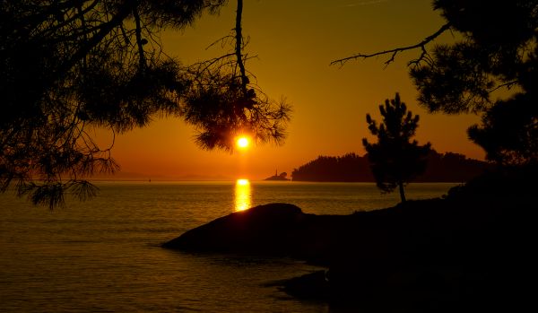 peyzaj, deniz, ağaç, doğa, Güneş, gündoğumu