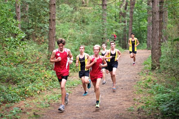 orang, jejak, Berlari, negara, rekreasi, joging