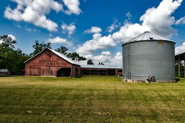 tájkép, természet, ég, Farm, gabona, épület