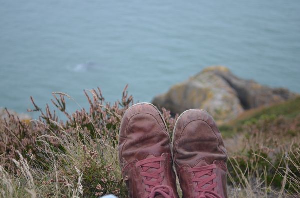 sea,coast,water,grass,sand,rock