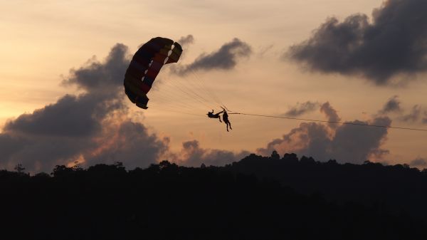 silhouette,nube,cielo,tramonto,ala,Alba