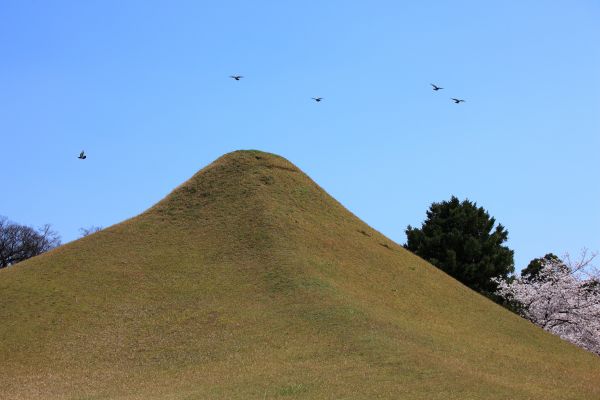 fjell,prærie,høyde,vind,monument,høy