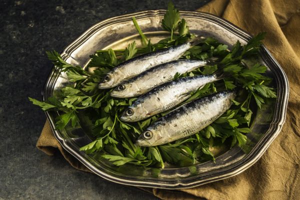 sardiini, kalastaa, silli, ruoka, rasvainen kala, Silli perhe