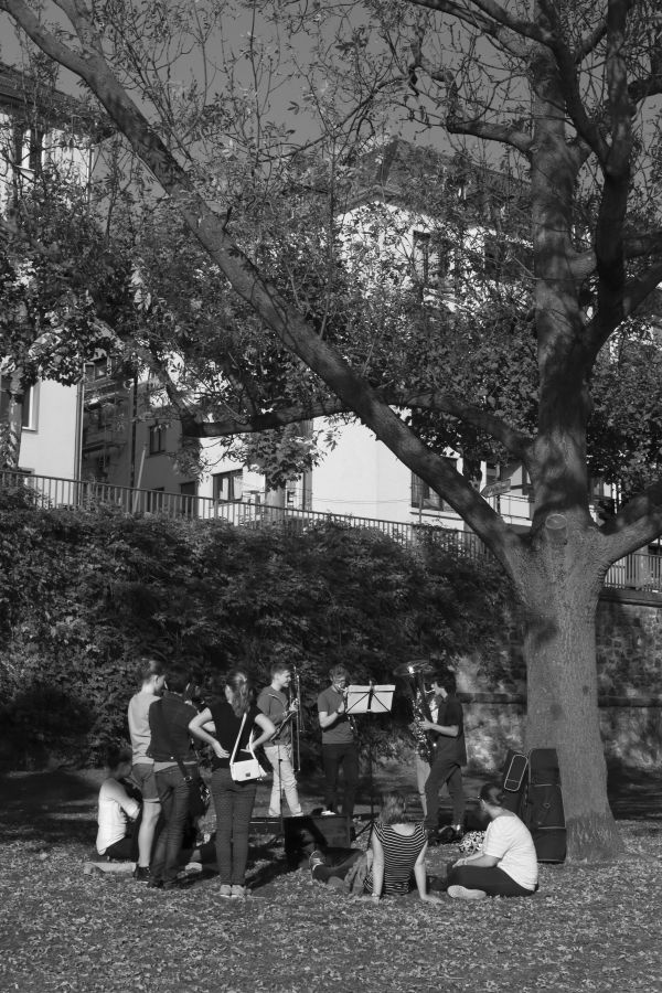 en blanco y negro,calle,fotografía,árbol,música,planta