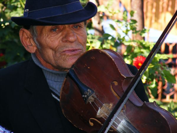 man,muziek-,instrument,spelen,mannetje,spelen