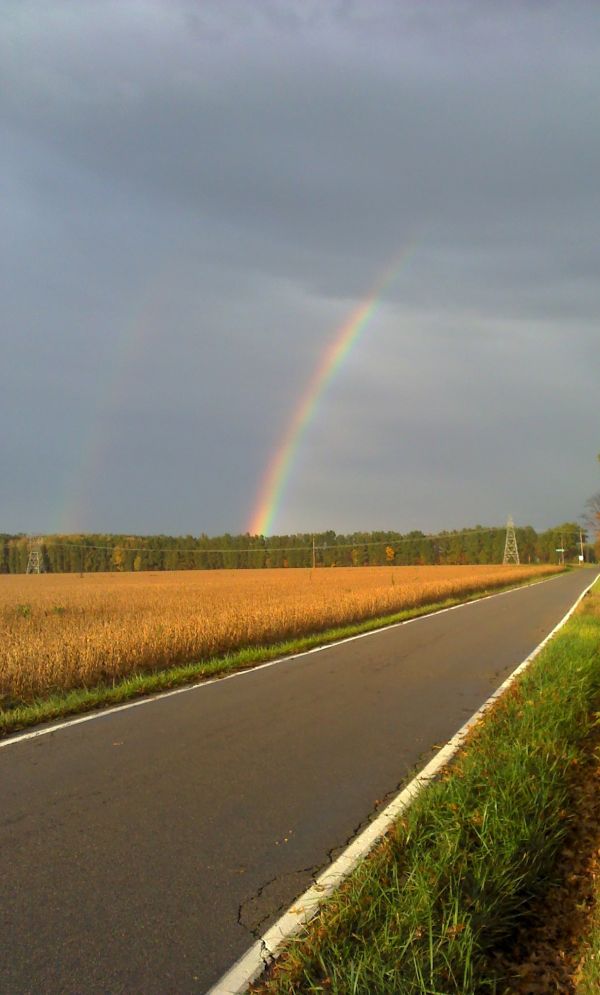 horizonte, nuvem, céu, caminho, grama, luz