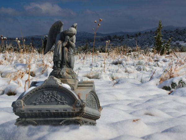 vleugel,monument,standbeeld,sneeuw,winter,vliegend