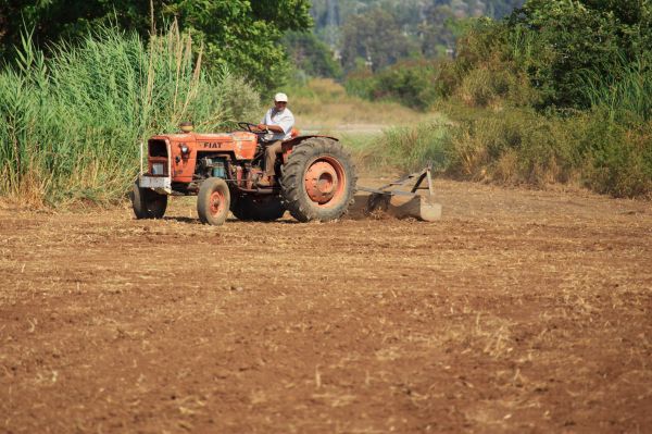 work,tractor,field,farm,man,hay