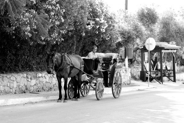 man,snow,winter,black and white,vehicle,cart