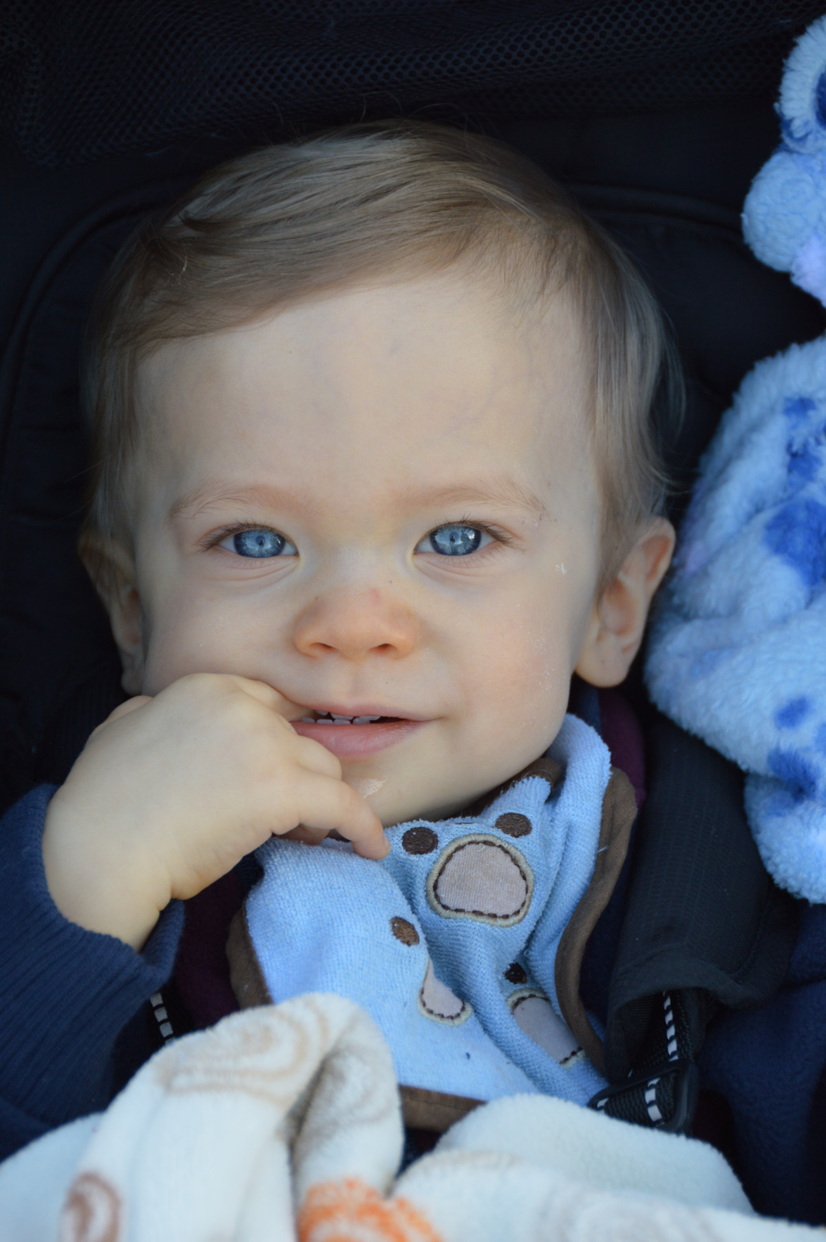 persona, gente, dulce, chico, niño, linda, amor, retrato, joven, pequeña, niño, azul, bebé, expresión facial, infancia, sonreír, hijo, alegre, cara, familia, nariz, divertido, contento, felicidad, infantil, niñito, ojo, cabeza, pequeño, piel, alegría, Organo, adorable, Fotografía de retrato, Posiciones humanas