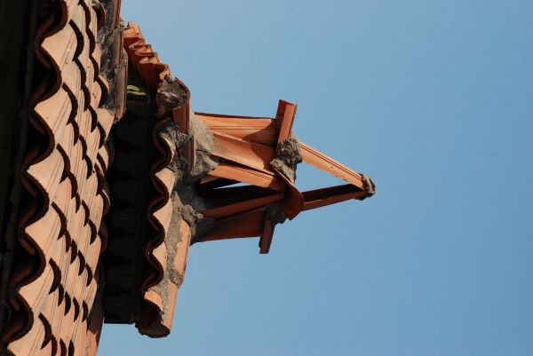 wood,nikon,cool image,monument,sculpture,temple