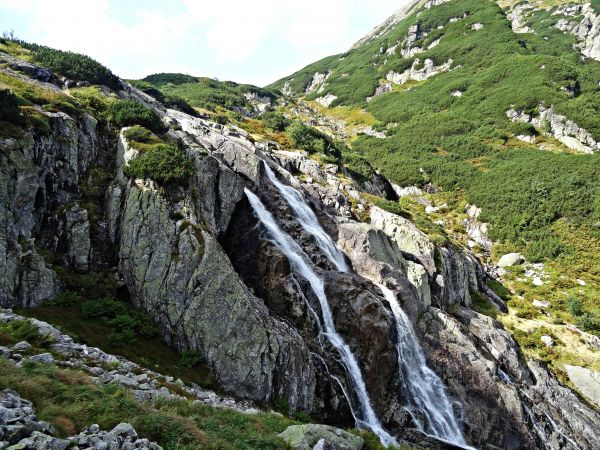 krajina, Příroda, les, strom, Skála, vodopád