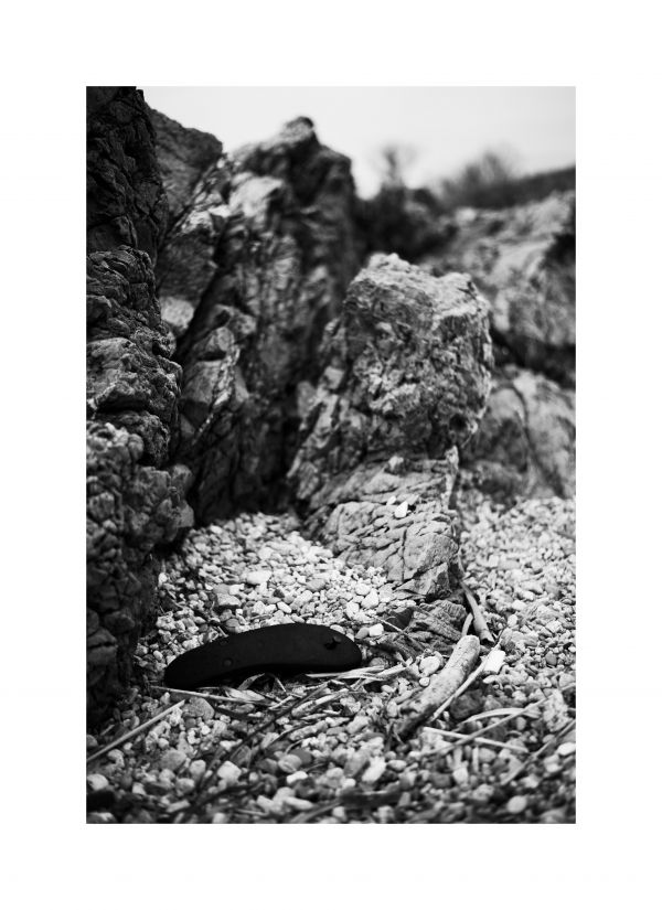 beach,rock,shoe,black and white,trunk,soil