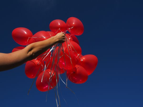 mano,flor,globo,mosca,amor,corazón