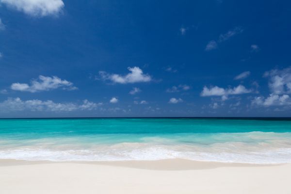 Strand,Landschaft,Meer,Küste,Wasser,Natur