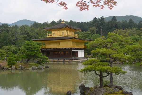 architecture,building,river,tree,flower,lake