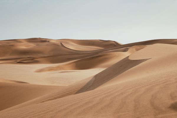 landschap,zand,woestijn,duin,zandduin,zanderig