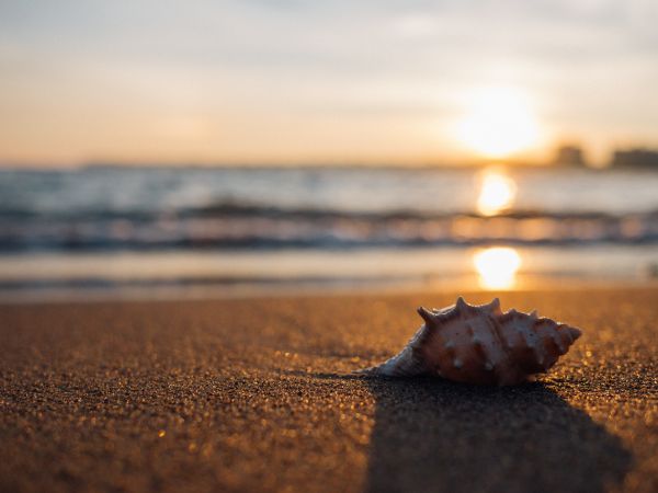 Strand,Meer,Küste,Natur,Sand,Rock