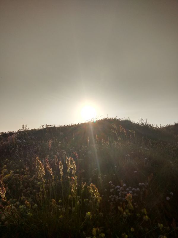 horizonte, montanha, luz, nuvem, árvore, natureza