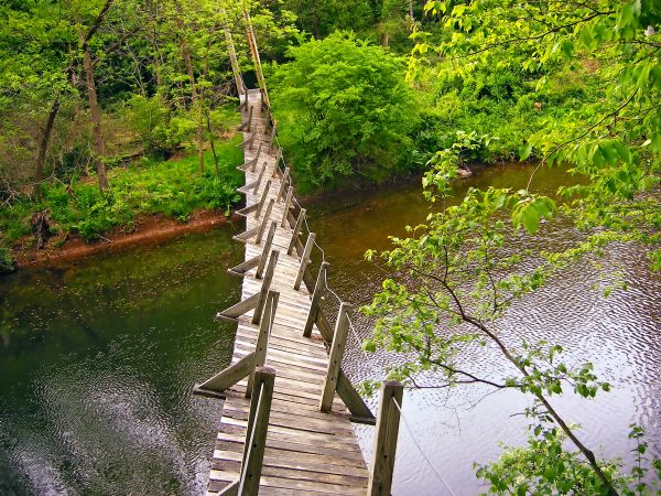 Baum,Wasser,Wald,Wandern,Weg,Brücke