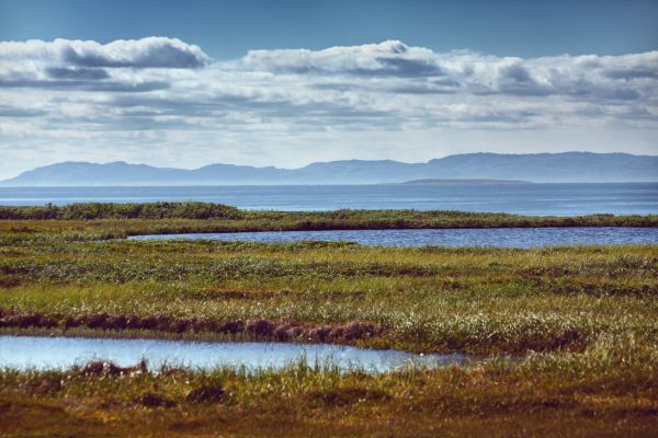 Landschaft, Meer, Küste, Wasser, Natur, Gras